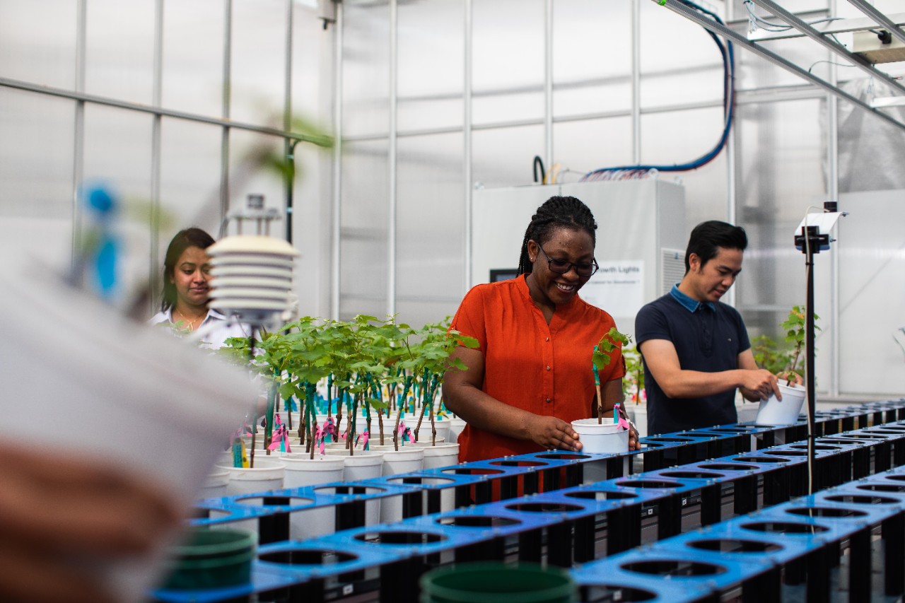 Waite campus.  Students in plant accelerator. Smarthouse Imaging room.